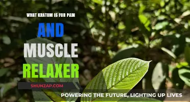 Kratom for Pain Relief and Muscle Relaxation: A Natural Alternative