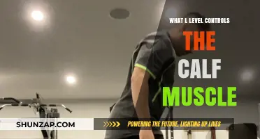 Unleashing the Power of Your Calves: A Deep Dive into Level Control