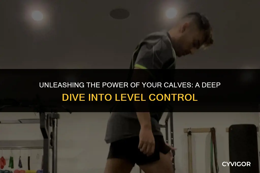 what l level controls the calf muscle