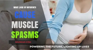 Nutrient Deficiencies Linked to Muscle Spasms: Causes and Solutions