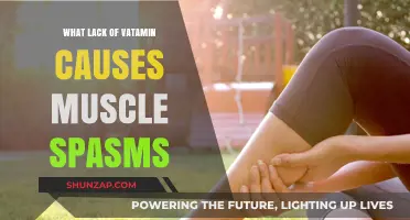 Vitamin Deficiencies Linked to Muscle Spasms: Causes and Solutions
