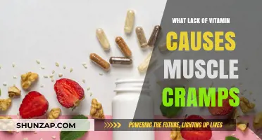 Vitamin Deficiencies Linked to Muscle Cramps: Causes and Solutions