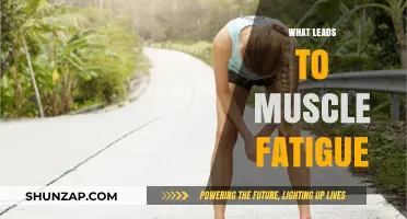 Muscle Fatigue: Understanding the Underlying Causes and Triggers