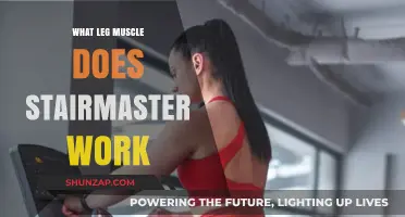 StairMaster Leg Workout: Targeted Muscles and Benefits Explained