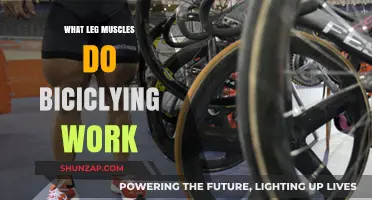 Cycling's Impact: Key Leg Muscles Engaged While Biking Explained