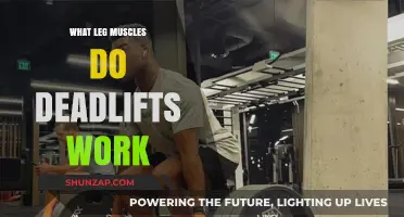 Deadlifts: Unlocking Strength in Your Lower Body Muscles