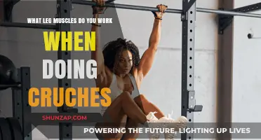 Crunches Targeted Leg Muscles: Unlocking Lower Body Strength and Tone
