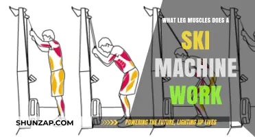 Ski Machine Workout: Targeting Key Leg Muscles for Strength and Endurance