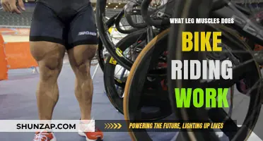Pedal Power: Discover the Leg Muscles Bike Riding Strengthens
