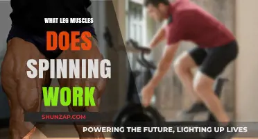 Spinning Benefits: Targeted Leg Muscles for Strength and Endurance