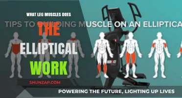 Elliptical Workout Benefits: Targeting Key Leg Muscles for Strength and Tone
