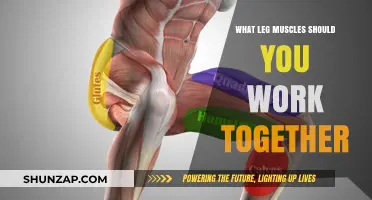 Maximize Leg Strength: Pairing Muscles for Optimal Workouts
