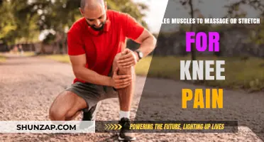 Ease Knee Pain: Key Leg Muscles to Stretch and Massage