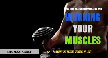 Muscle Mastery: Life's Lessons for Strength and Endurance