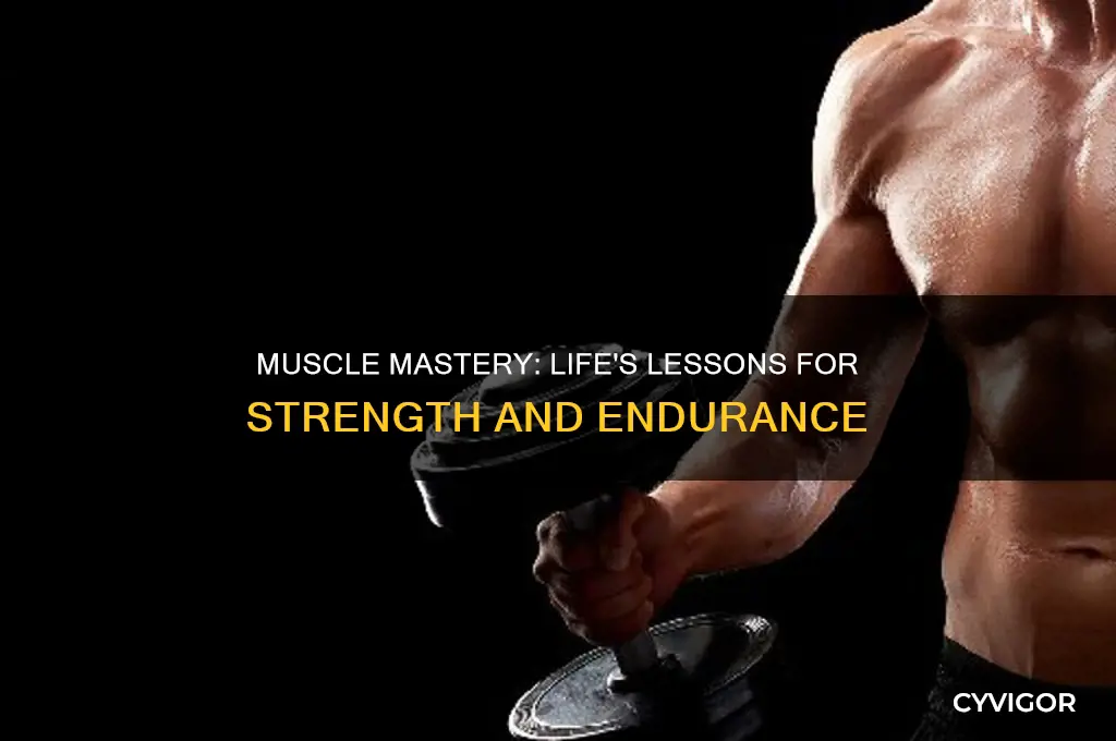 what life feature illustrated for working your muscles