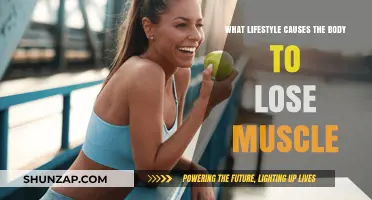Sedentary Habits and Poor Nutrition: How Lifestyle Erodes Muscle Mass