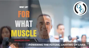 Targeted Training: Lifts for Muscle Groups