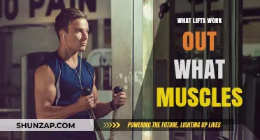 Effective Lifts for Targeting Specific Muscle Groups: A Comprehensive Guide