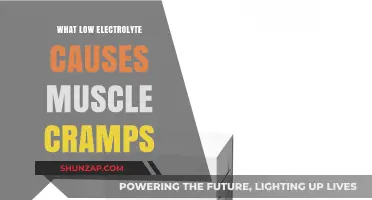 Low Electrolytes and Muscle Cramps: Uncovering the Hidden Connection