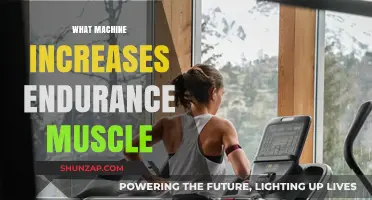 How to Build Endurance Muscles With Machines