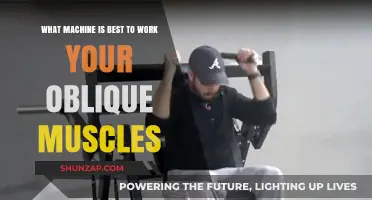 Top Machines for Effective Oblique Muscle Workouts: Expert Recommendations