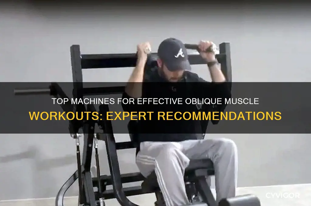 what machine is best to work your oblique muscles