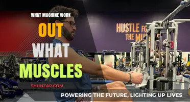 Machine Workouts: Targeting Muscles for Optimal Strength and Tone