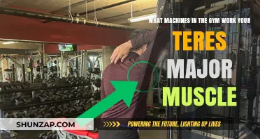 Target Your Teres Major: Effective Gym Machines for Strengthening