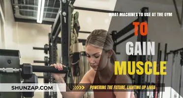 Effective Gym Machines for Building Muscle: A Comprehensive Guide