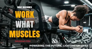 Machines and Muscles: Understanding Targeted Workouts for Optimal Fitness
