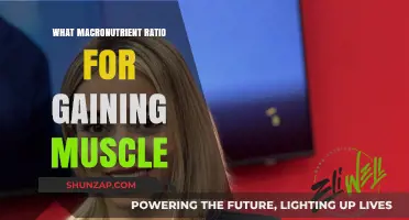 Optimal Macronutrient Ratios for Effective Muscle Gain and Growth