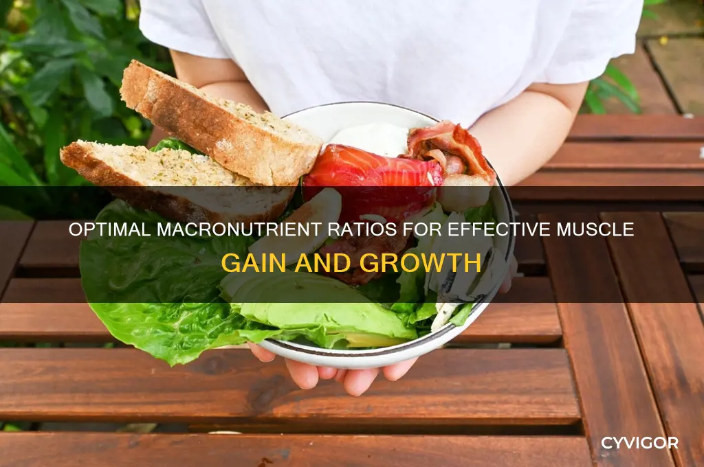 what macronutrient ratio for gaining muscle