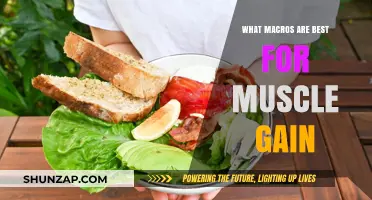 Optimal Macros for Muscle Gain: Fuel Your Growth Effectively