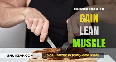 Optimal Macro Ratios for Lean Muscle Gain: A Comprehensive Guide