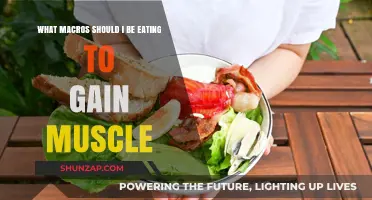 Muscle-Building Macros: Your Ultimate Guide to Optimal Nutrition for Gains