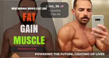 Optimize Macros for Fat Loss and Muscle Gain: Your Ultimate Guide