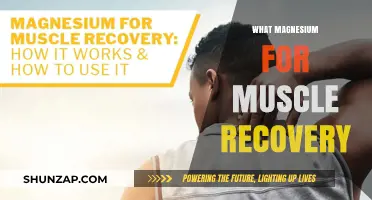 Magnesium's Role in Muscle Recovery and Performance