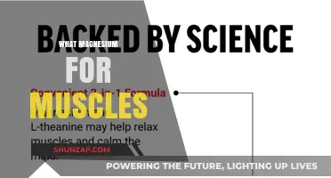 Magnesium for Muscle Health: What You Need to Know