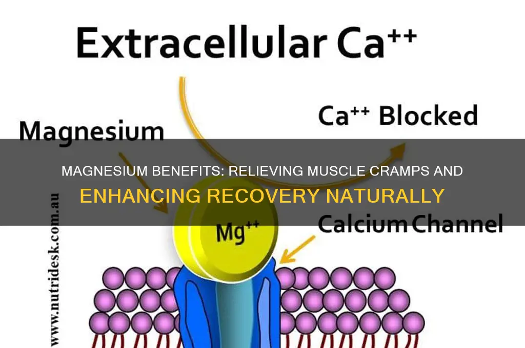 what magnesium is good for muscle cramps
