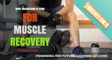 Unlocking Muscle Recovery: The Essential Role of Magnesium