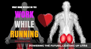 Running's Primary Muscle Focus: Unveiling the Key to Your Stride