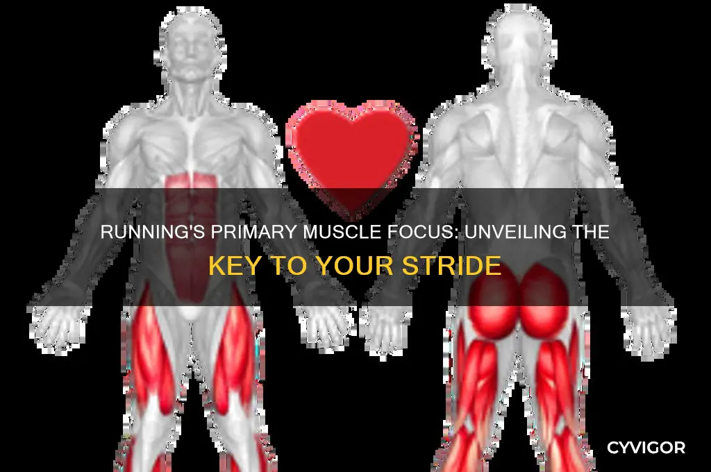what main muscle do you work while running