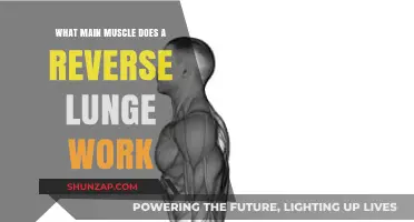 Reverse Lunge Benefits: Targeting Key Muscles for Strength and Stability