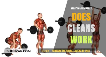 Cleans Workout: Targeting the Primary Muscle for Strength and Power