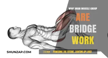 Bridge Workouts: Targeting Core, Glutes, and Lower Back Muscles