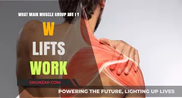 I, Y, W Lifts: Targeting Upper Back and Shoulder Muscles