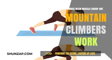 Mountain Climbers: Targeting Core, Legs, and Cardio for Full-Body Fitness