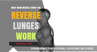 Reverse Lunges: Targeting Key Muscle Groups for Strength and Stability
