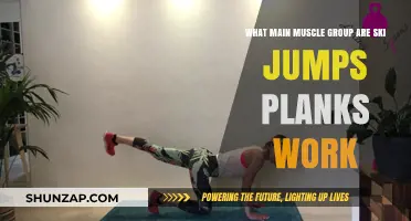 Ski Jumps and Planks: Targeting Core, Legs, and Glutes Effectively