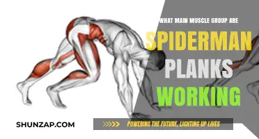 Spider-Man Planks: Targeting Core, Obliques, and Shoulder Muscles Effectively